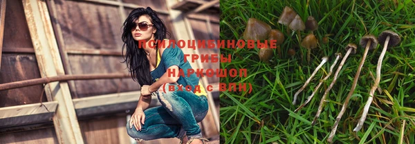 прущая мука Белокуриха